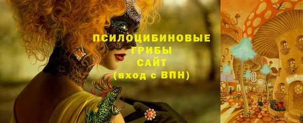 марки nbome Горнозаводск