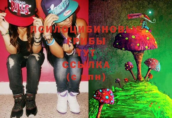 марки lsd Горняк